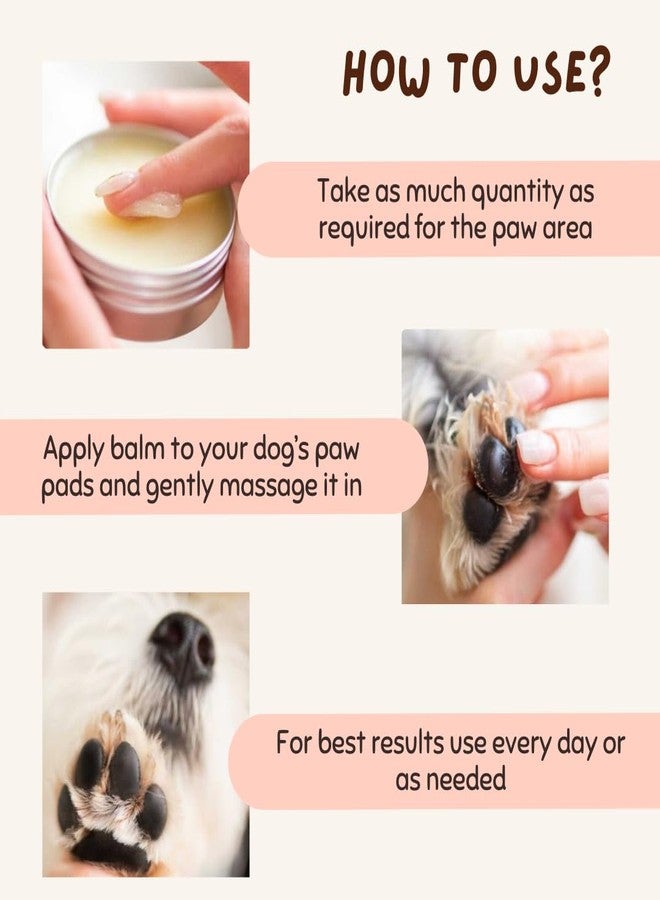 Coco Crush Paw Balm for Pets - Natural Care for Cracked and Dry Paws and Snout | 100% Natural and Organic Ingredients, Ingestion Safe | for Dogs, Cats, Puppies, Kittens | Heals & Repairs Gently (25G) - Image 5